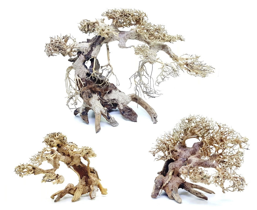 DecorLine Bonsai Wood Foto Indicativa - Bonsai naturali decorativi per acqua dolce Modello: L (cm45x25x30h)