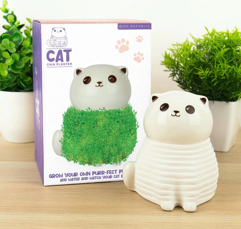 MAGS Chia Kitty  Gattino Decorativo da Coltivare