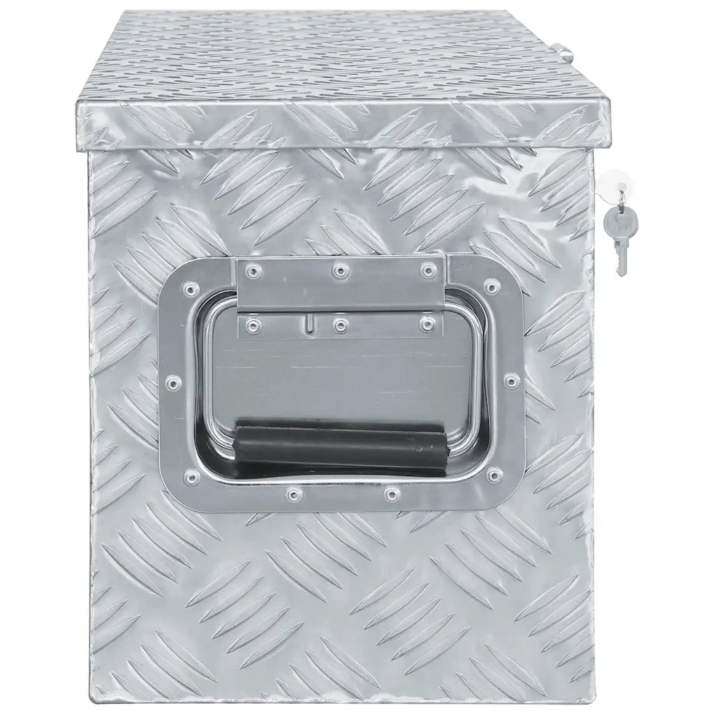 Cassetta in Alluminio 61,5x26,5x30 cm Argento 142936