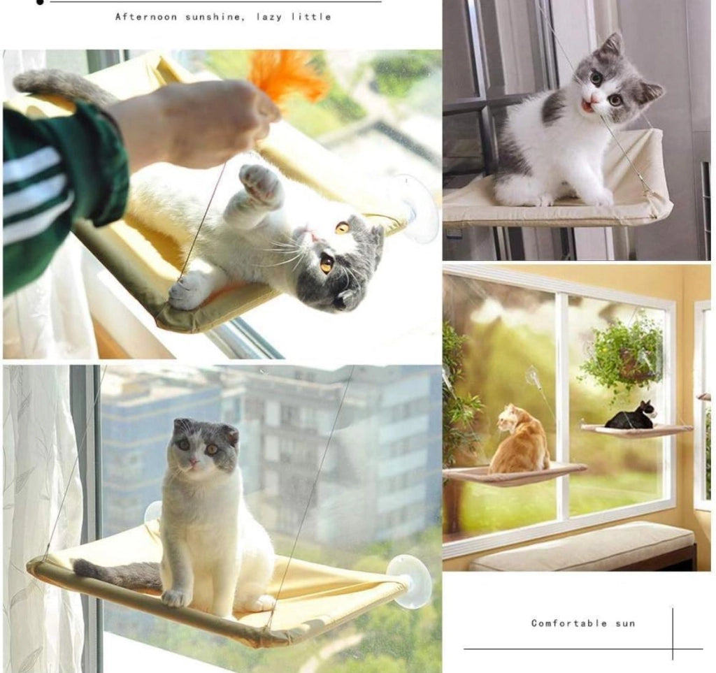 Amaca Letto Cuccia per Gatti Gatto da Finestra con Ventose Universale Interno