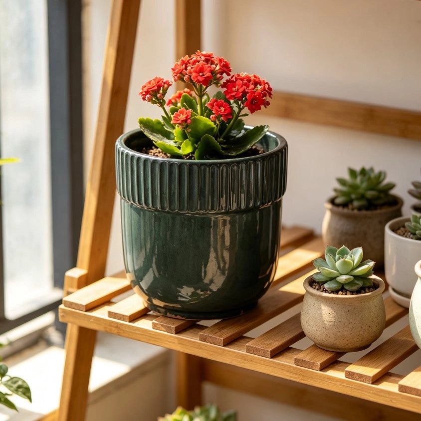 Vaso per piante in ceramica ¨C Minimal ¨C Verde scuro lucido ?23cm adatto per interni