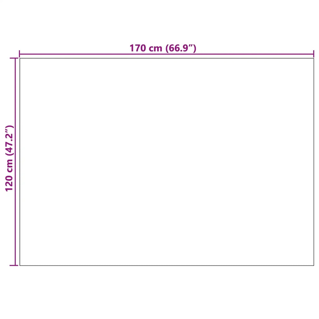 Tappeti per area AGIRA Naturale 170 x 120 cm Poliestere 42022549